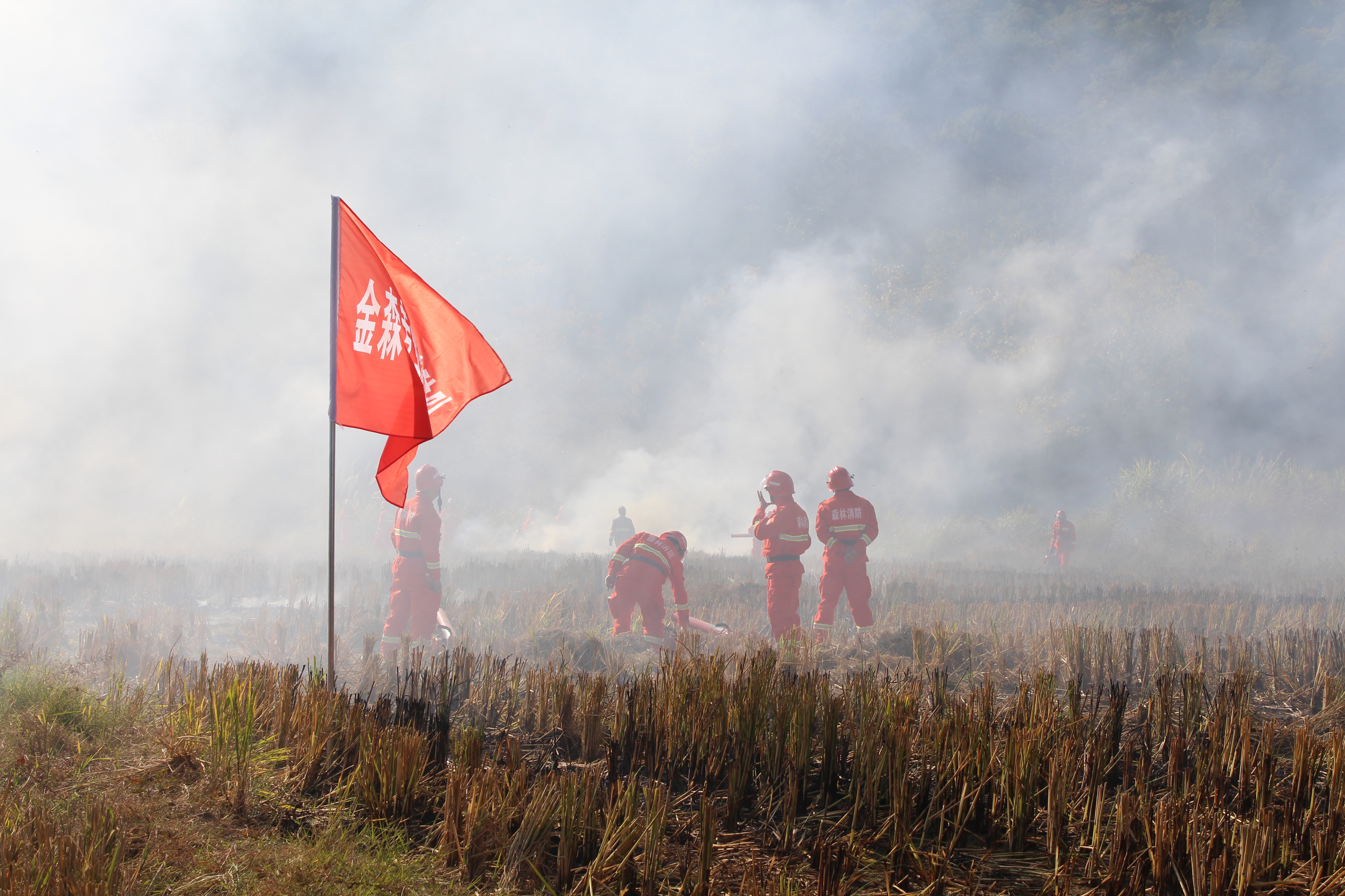 干好每一天|福建金森開展森林防火業(yè)務(wù)培訓(xùn)及防火演練