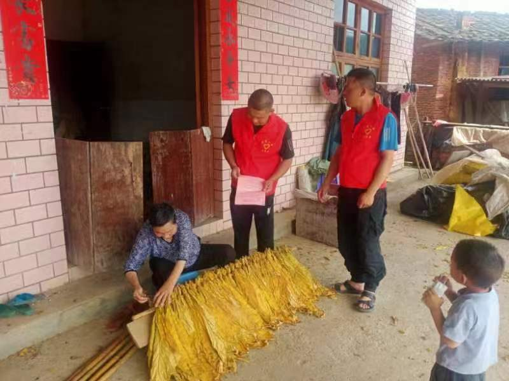 防御臺風“格美” 福建金森聞“風”而動 防御臺風“格美” 福建金森聞“風”而動