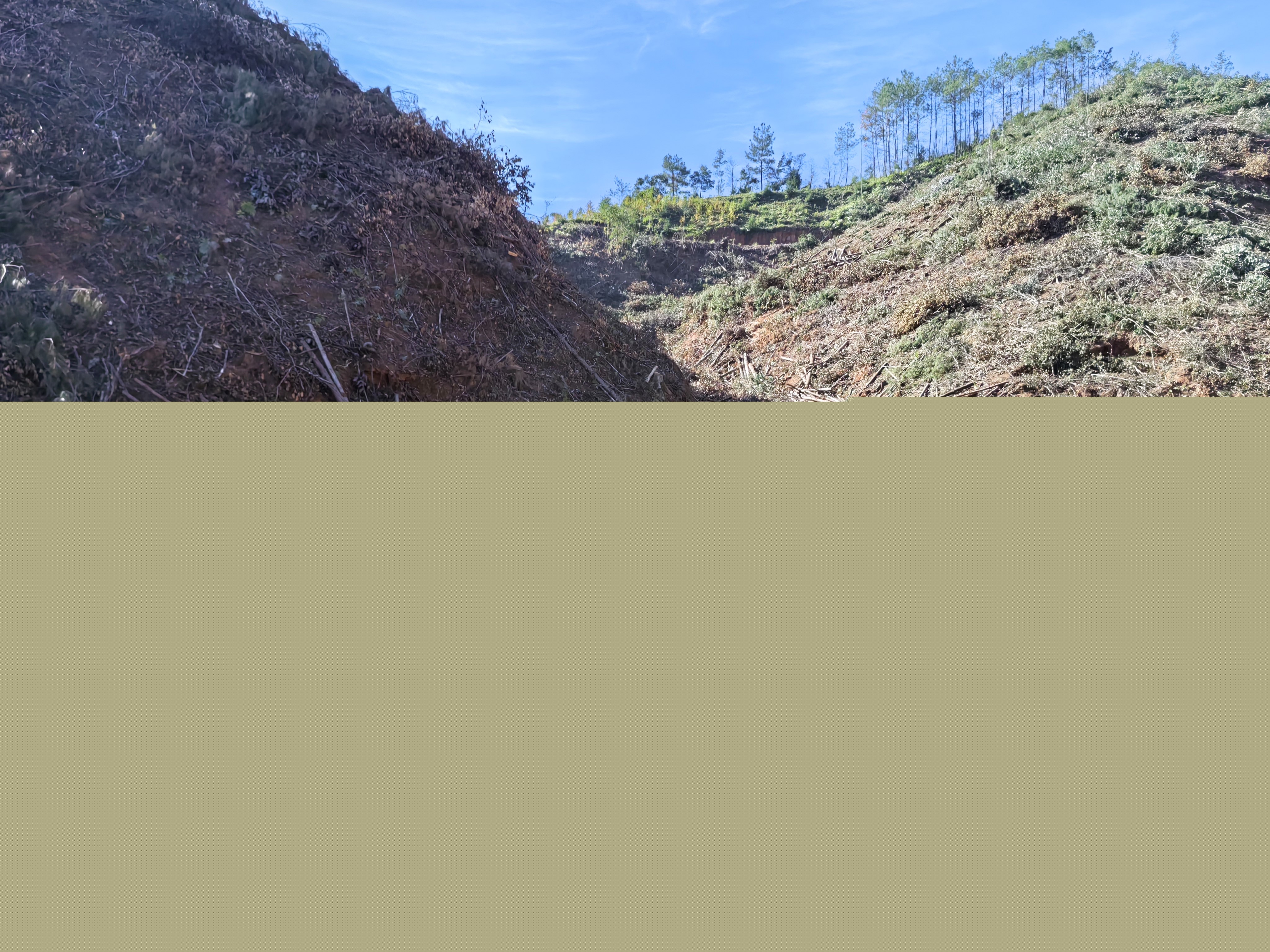 平安常青，我們在行動——常青分公司開展安全生產(chǎn)日活動