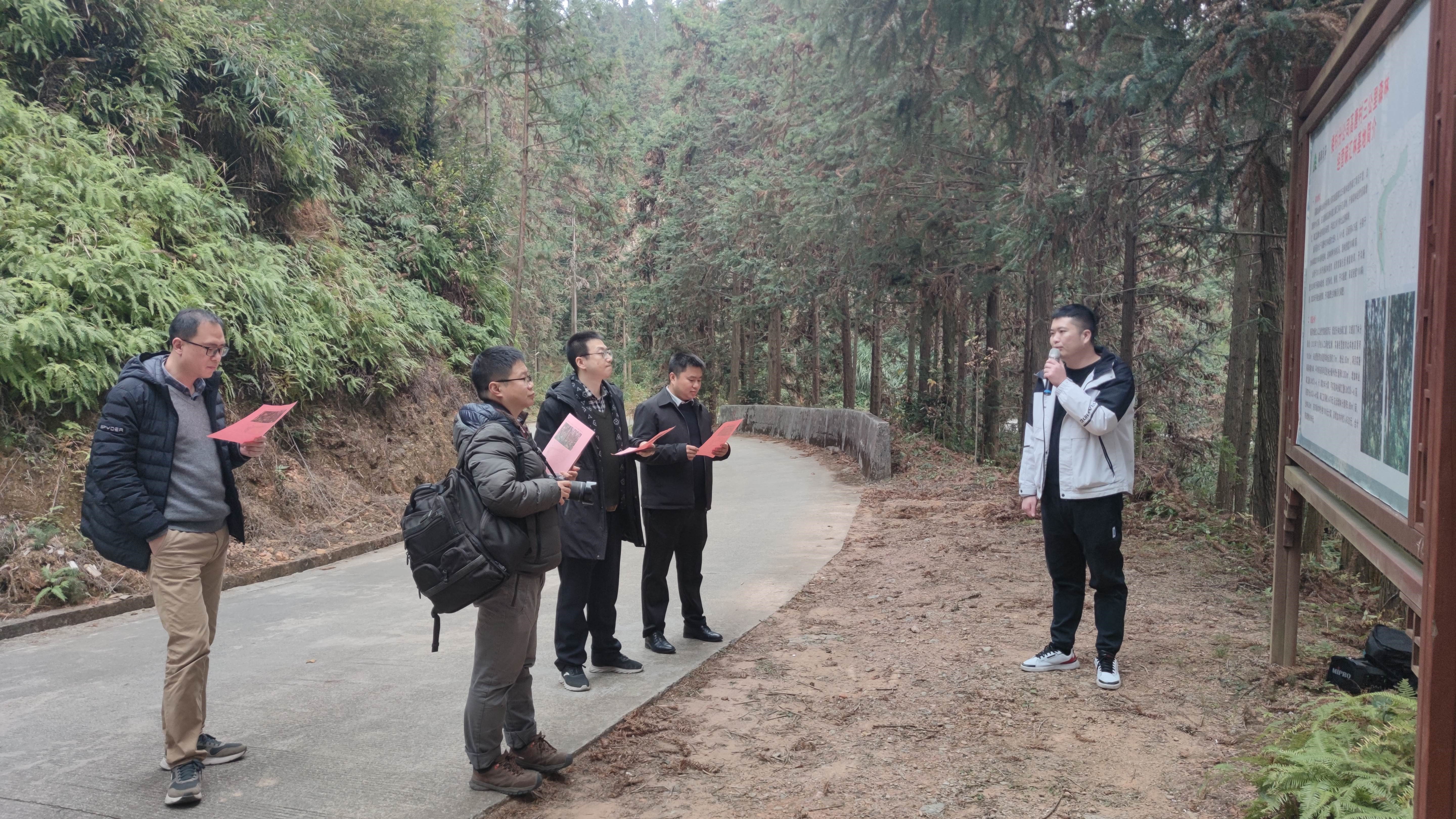 福建金森與上海園林集團(tuán)——強(qiáng)強(qiáng)交流促合作，共繪林改新藍(lán)圖