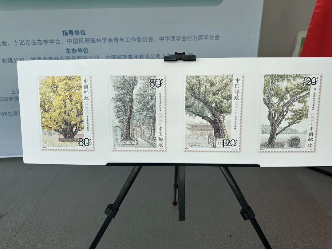 全國生態(tài)日來了！福建金森攜手舉辦上?！吧胶Ｍ铡ば雍糜心恪被顒?dòng)