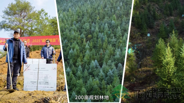 全國首個!!!“滬明杏林”醫(yī)療碳匯林項(xiàng)目成功啟動 福建金森攜手多方共推醫(yī)療與生態(tài)融合發(fā)展新范式